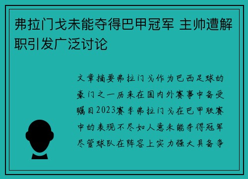 弗拉门戈未能夺得巴甲冠军 主帅遭解职引发广泛讨论